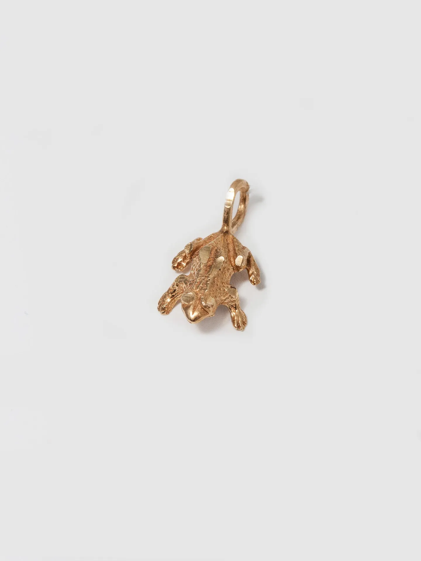 Frog Charm - Vintage Capsule